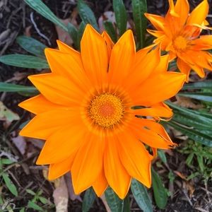 Meet your Posher, Becca